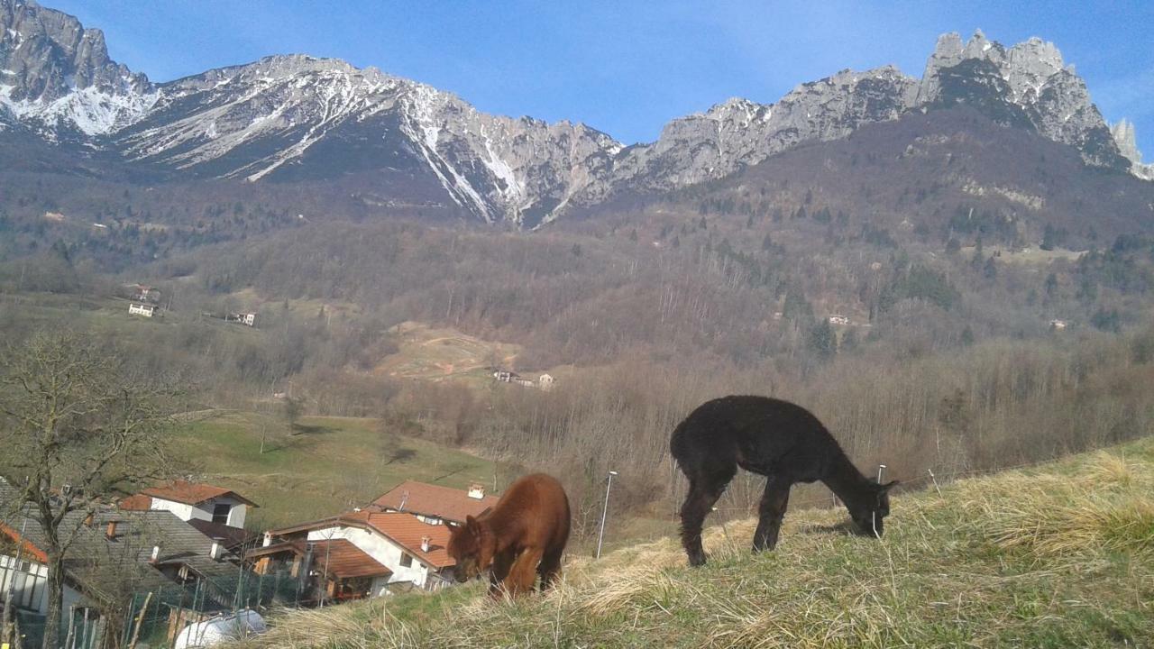 Casa Da 2 A 7 Posti Nelle Piccole Dolomiti Βίλα Recoaro Terme Εξωτερικό φωτογραφία